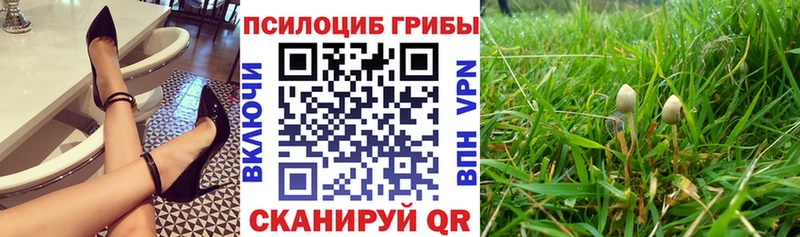 Галлюциногенные грибы ЛСД  blacksprut как зайти  Сочи 