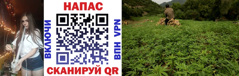 как найти закладки  Сочи  Каннабис планчик 